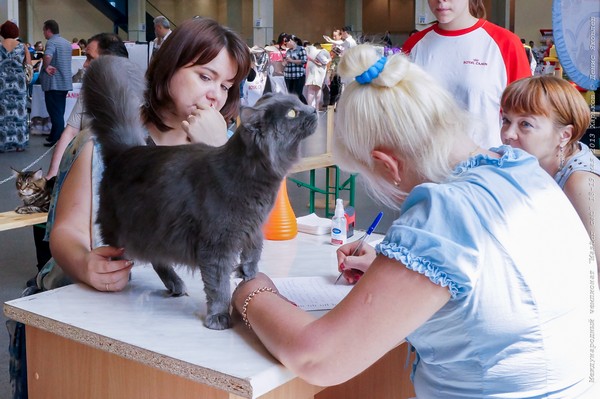 Kharkov_2_130518_103