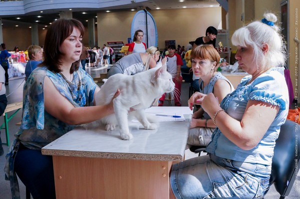 Kharkov_2_130518_106