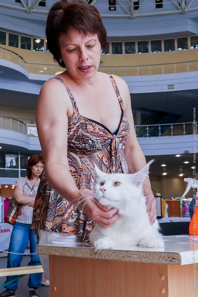 Kharkov_2_130518_107